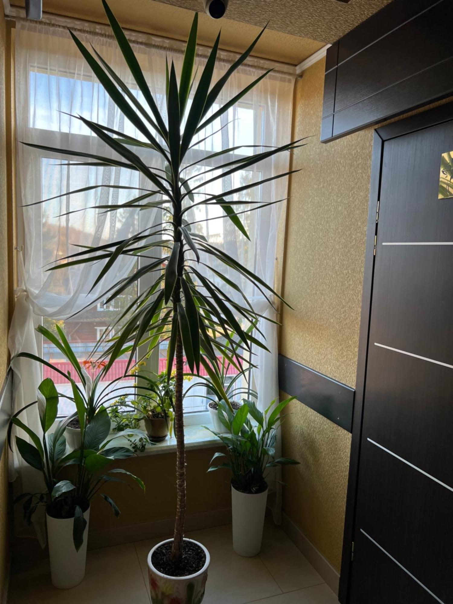 Готель Парк Morschyn Exterior foto